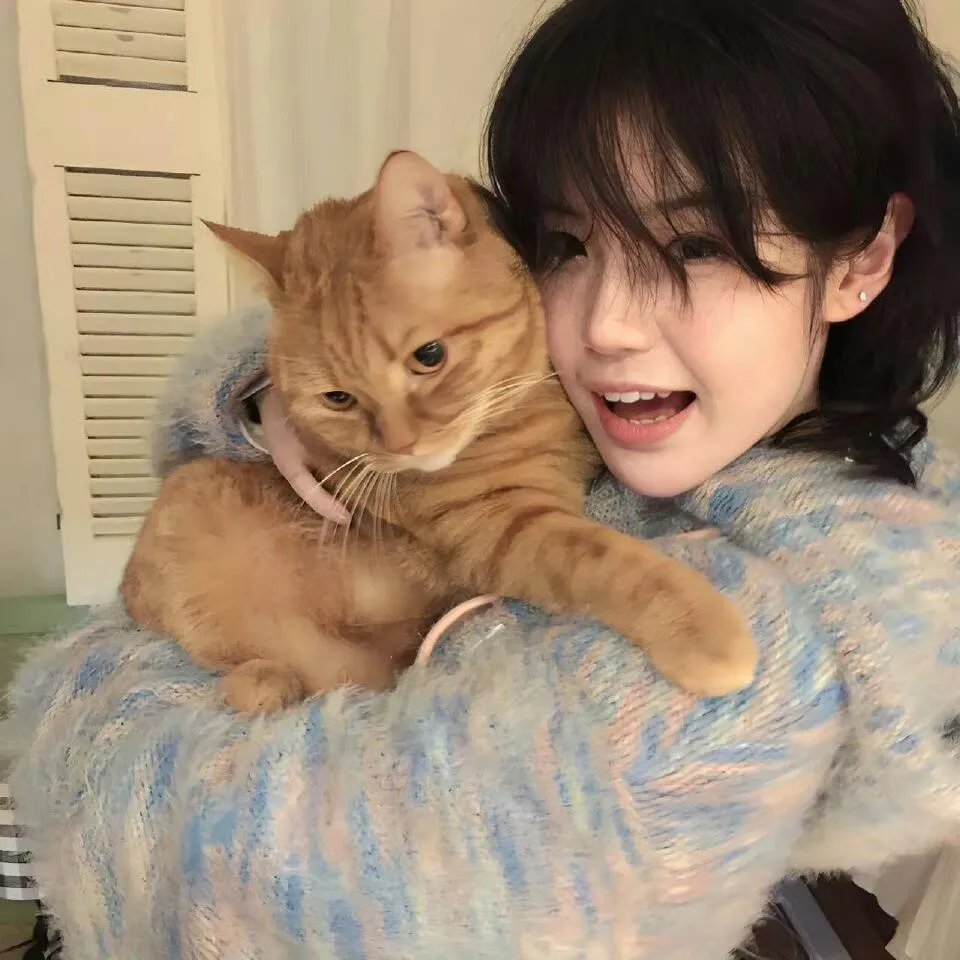 男友总在修罗场